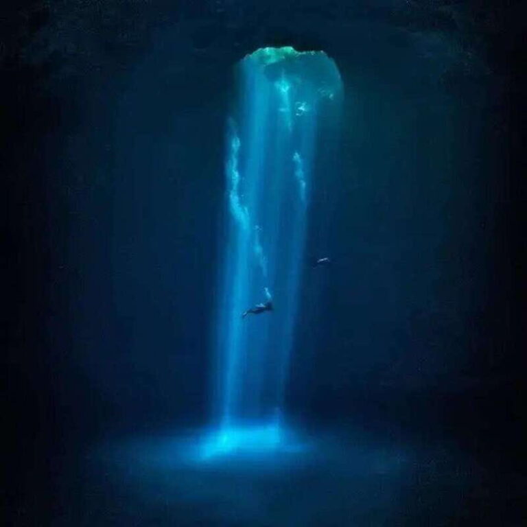Playa del Carmen: Diving in Cenotes The Pit and Dos Ojos - The Practical Side