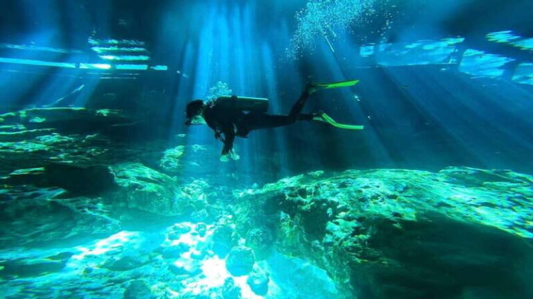 Playa del Carmen: Dos Ojos Cenote 2 scuba dives without tran - The Sum Up: Is This Tour Worth It?