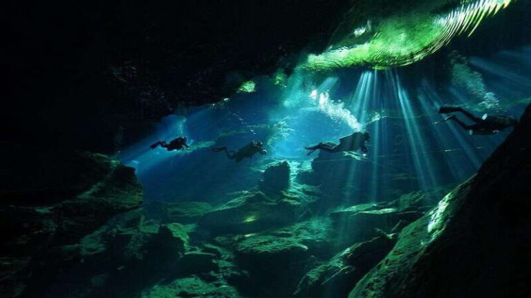 Playa del Carmen: Explore the Surreal World of Cenote Diving - Why Choose This Cenote Tour?