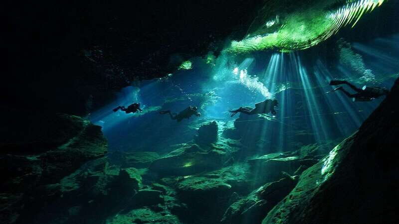 Playa del Carmen: Explore the Surreal World of Cenote Diving - Why Choose This Cenote Tour?
