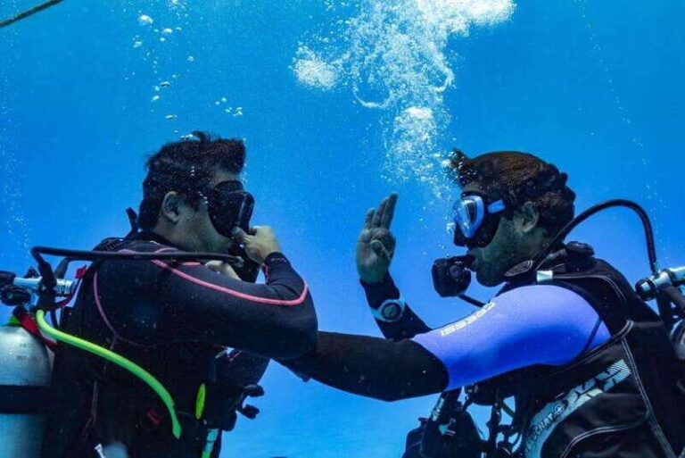 Playa del Carmen: Fun Dive Experience for Certified Divers - The Itinerary in Detail