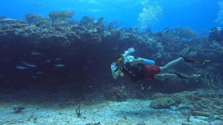 Playa del Carmen: Introductory Scuba Diving at Coral Reefs - The Itinerary: What to Expect from Start to Finish