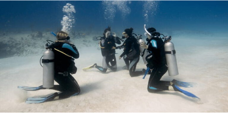 Playa del Carmen: Open Water Diver Course - Who Will Love This Experience?