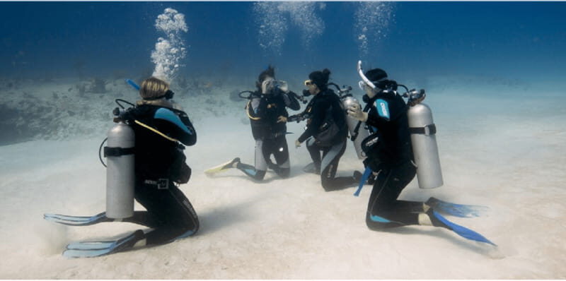 Playa del Carmen: Open Water Diver Course - Who Will Love This Experience?