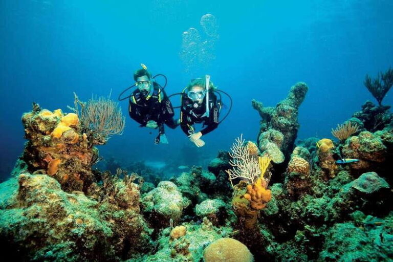 Playa del Carmen: PADI Advance Open Water in Riviera Maya - Why Choose This Course?