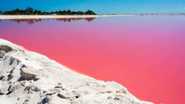 Playa del Carmen: Rio Lagartos and Las Coloradas Tour - A Look at the Itinerary