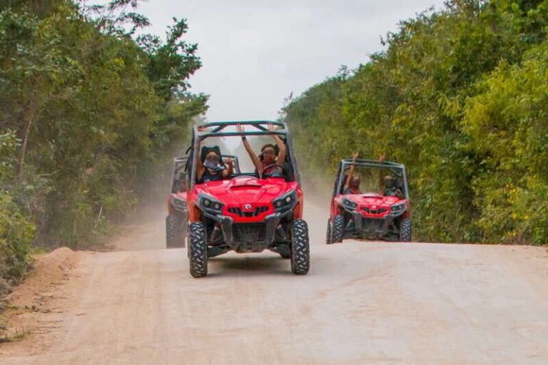 Playa del Carmen: Riviera Maya Buggy Tour with Cenote Swim - The Value and Practical Details