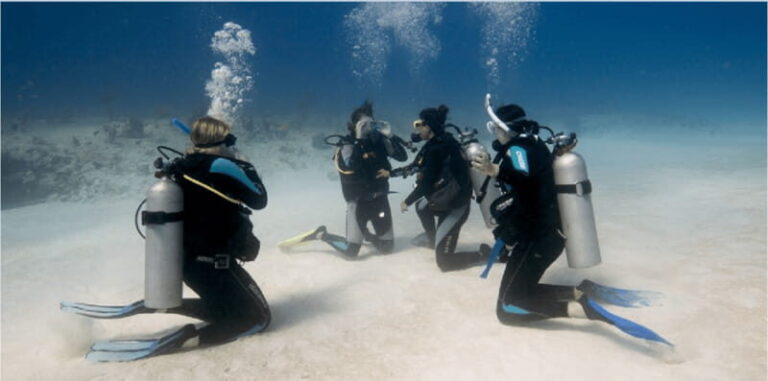 Playa del Carmen: Scuba Diver Certification Course - Who Should Book This Course?