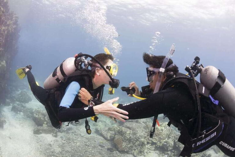 Playa del Carmen: Ultimate PADI Open Water Diver Experience - What to Expect: A Detailed Breakdown