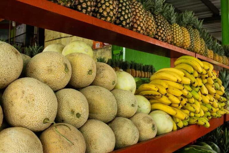 Playa del Carmen: Vegan Food Walking Tour - Why This Tour Is a Great Choice