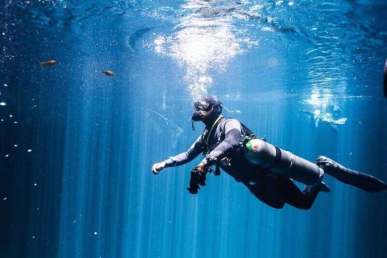 Playa del Carmen: Wreck Dive Mama Viña - Final Thoughts