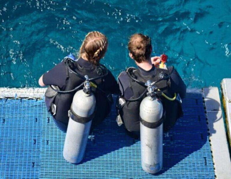 Playa: Dive in Cozumel - Who Should Consider This Tour?