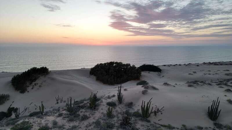 Playa el Cardonal: tour and sandboarding activity in the dunes of Sahuimaro - Who Should Consider This Tour?