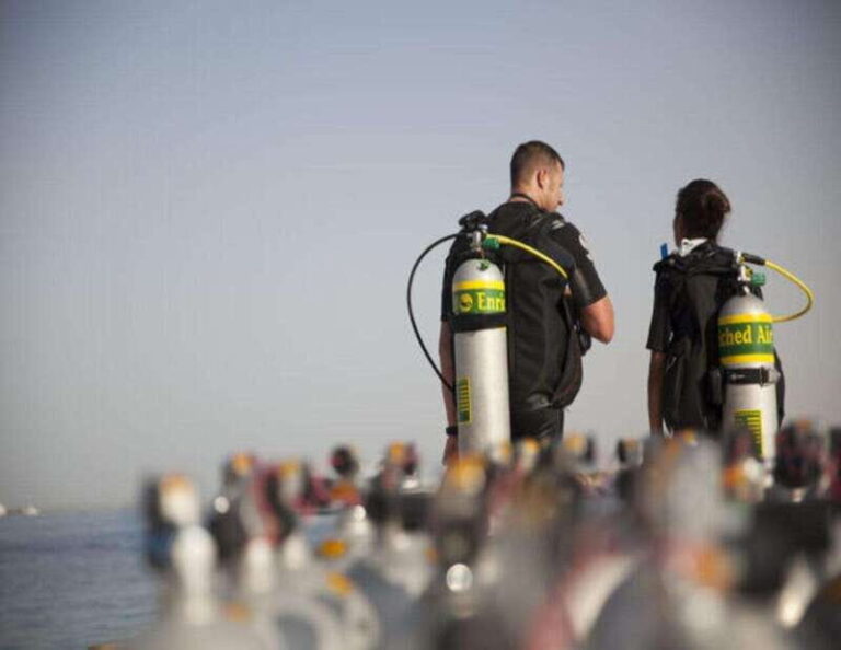 Playa: Night Dive - What to Expect During Your Night Dive