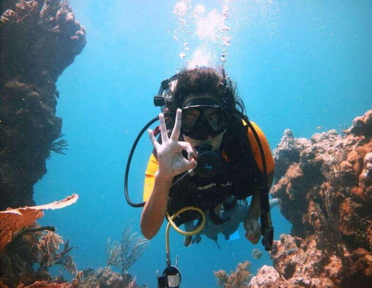 Playa: Rescue Diver - Who Should Consider This Course?