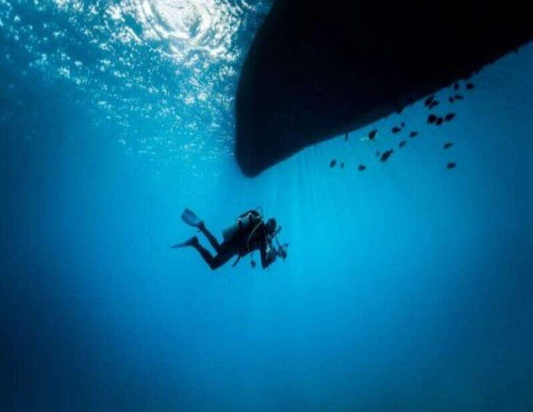 Playa: Wreck Dive - The Highlights That Make This a Special Dive