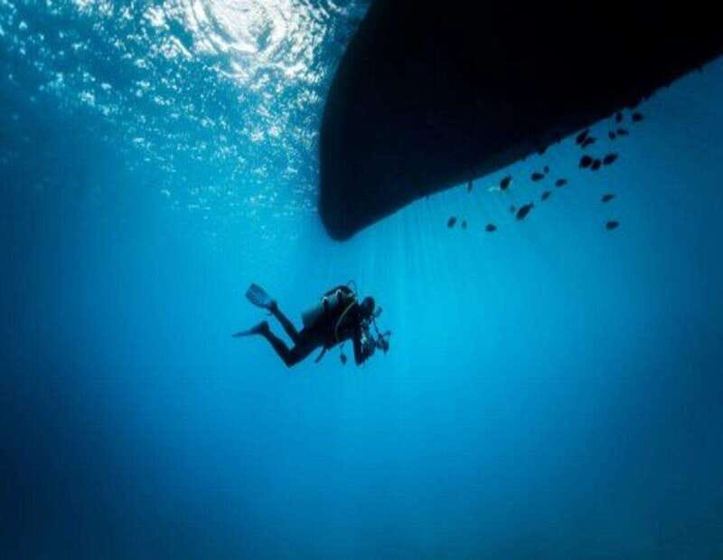 Playa: Wreck Dive - The Highlights That Make This a Special Dive