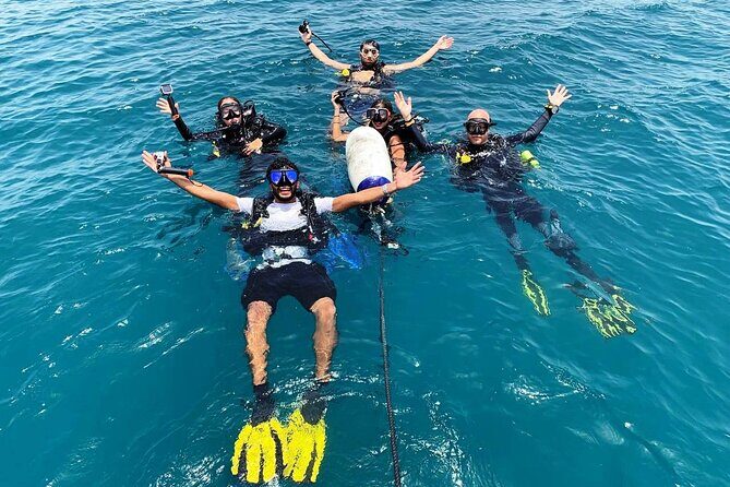 Pleasure Scuba Diving in Fujairah for Certified Diver - The Itinerary Breakdown