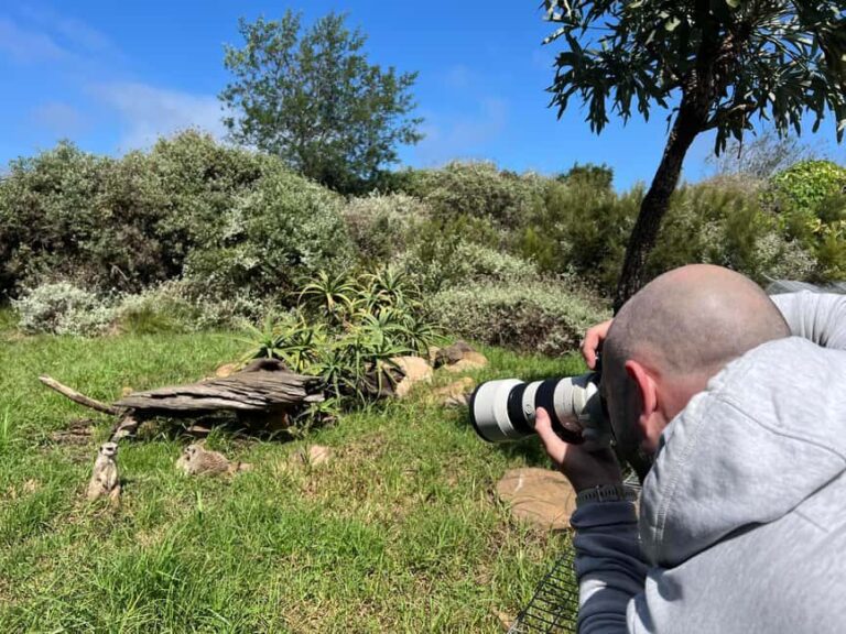 Plettenberg Bay: Private Guided Wildlife Photography Tour - Practical Details and Value
