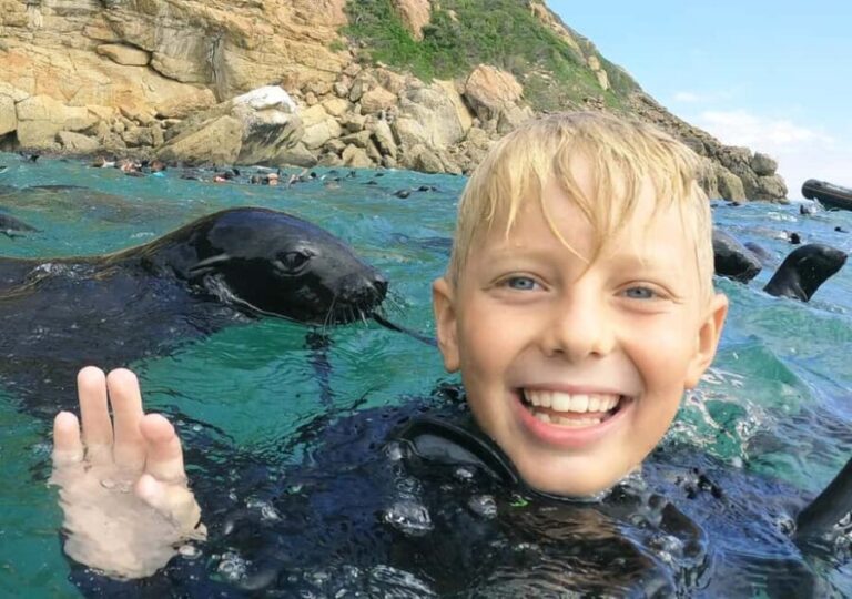 Plettenberg Bay: Swim with the Seals - Who Will Enjoy This Tour?