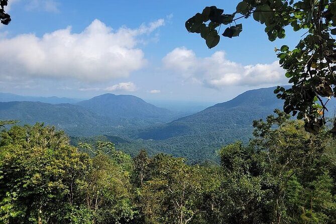 Pluma Hidalgo Coffee Experience - Authentic Traveler Experiences