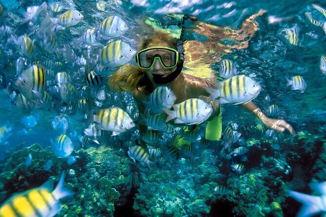 Plus Full Day Catamaran Tour to Isla Mujeres All Inclusive - Practical Info & FAQs