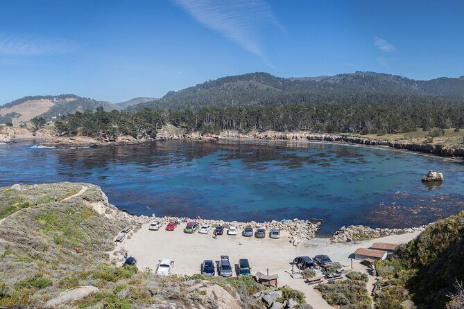 Point Lobos - A Private Charming Ocean Tour - The Value and Pricing