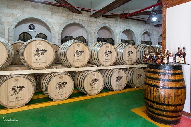 Pomegranate Wine Tour with Local Lunch - The Itinerary: A Step-by-Step Breakdown