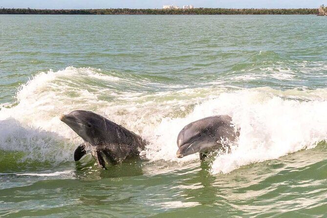 Pontoon Boat Rental Crystal River - Who Is This Experience Best For?