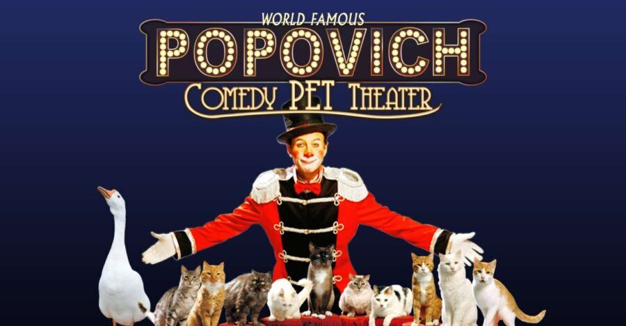 Popovich Comedy Pet Theater in Las Vegas - What to Expect at Popovich Comedy Pet Theater