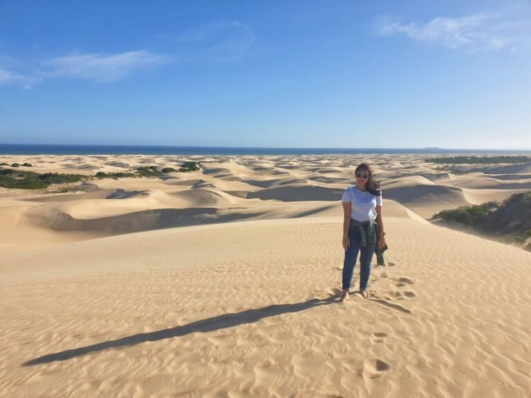Port Elizabeth: 2-Day Addo Elephant Park Safari - What Makes This Tour Stand Out