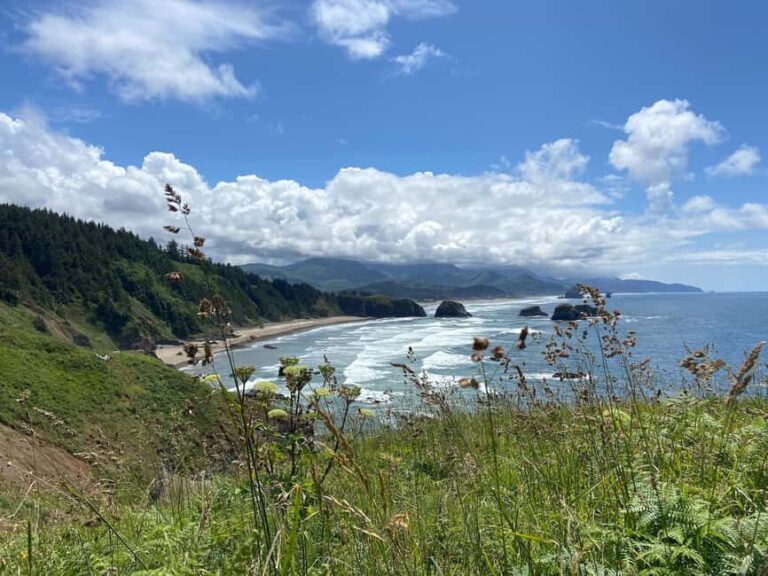 Portland: Cannon Beach and Ecola State Park Hiking Tour - Cannon Beach and Its Charm
