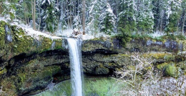 Portland: Silver Falls Hike - What to Expect on the Hike