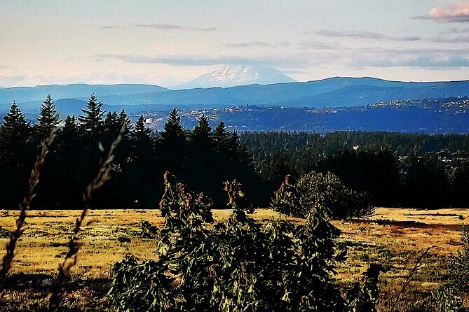 Portland Tea Party Outdoor Tea Ceremony Experience - Frequently Asked Questions