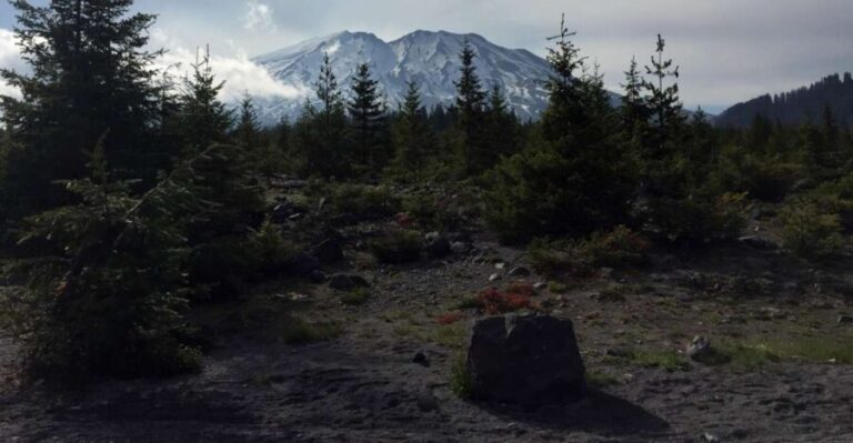 Portland: The Mt. St. Helens Adventure Tour - Ape Cave: Spelunking North America’s Longest Lava Tube