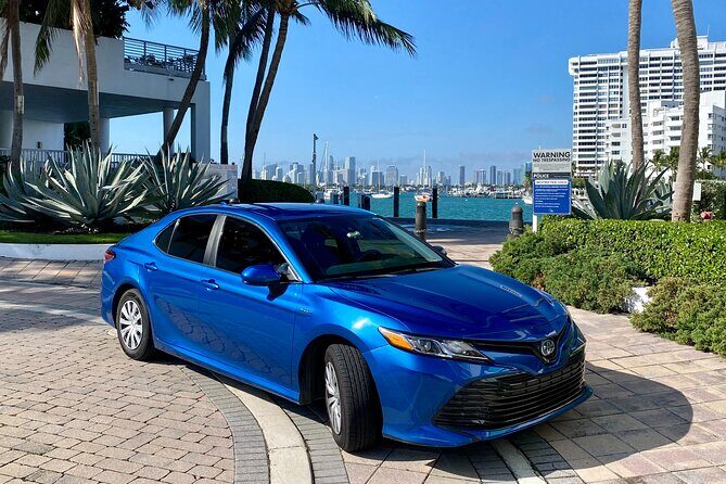 Postcard Views of Miami in 4 Hours by Car and on Foot - Practical Details That Matter