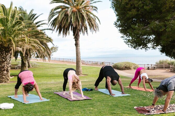 Power Up Your Girls Trip with Savannah Mobile Yoga Class - The Itinerary: What Can You Expect?