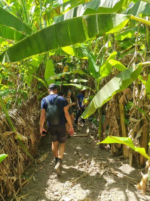Praia: Banana and Coconut Plantation Tour with Lunch - Analyzing the Value