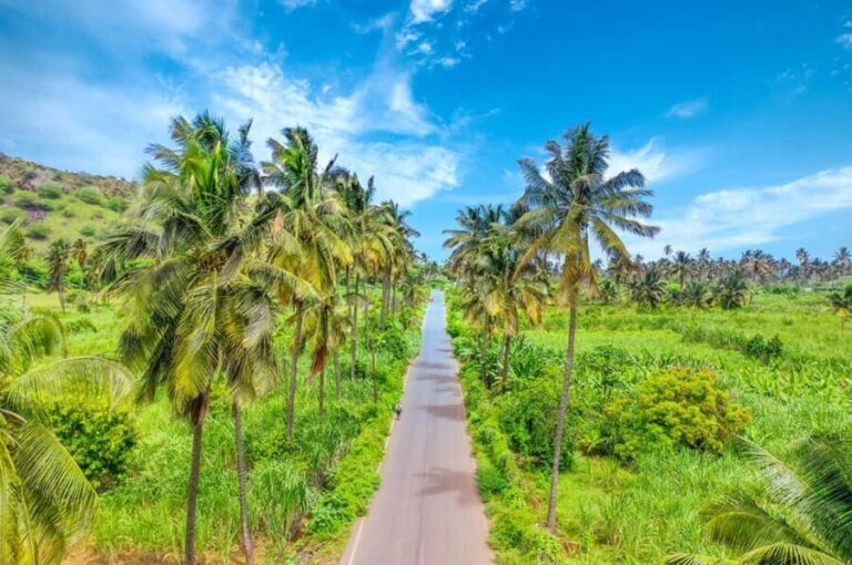 Praia: Day trip by minibus for cruise passengers - The Itinerary Breakdown: What to Expect