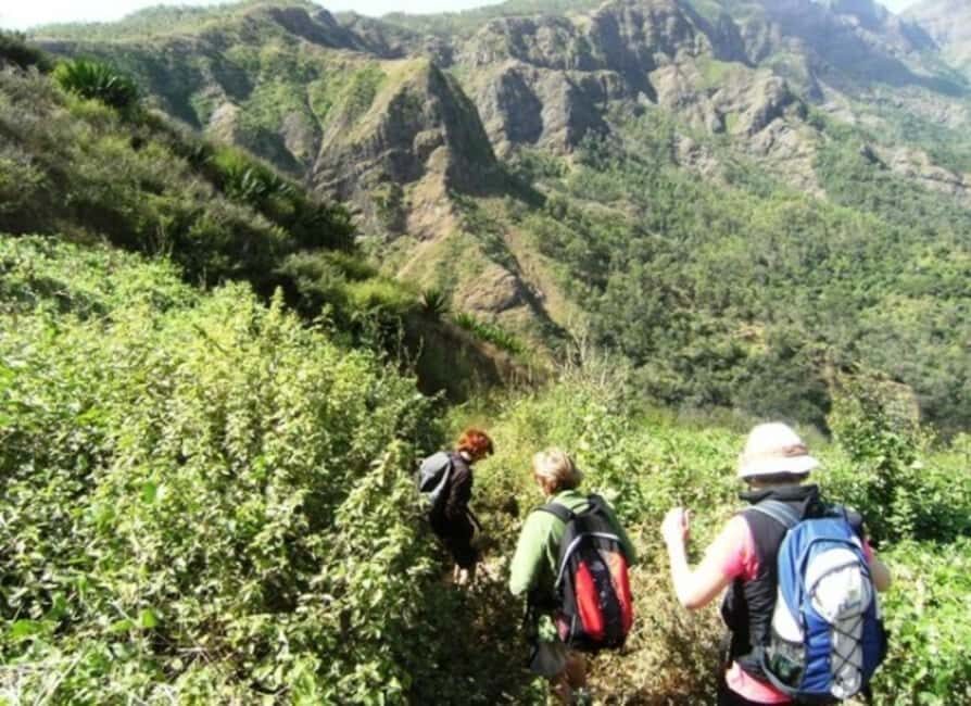Praia: Private hike from Rui Vaz - Who Will Love This Tour?