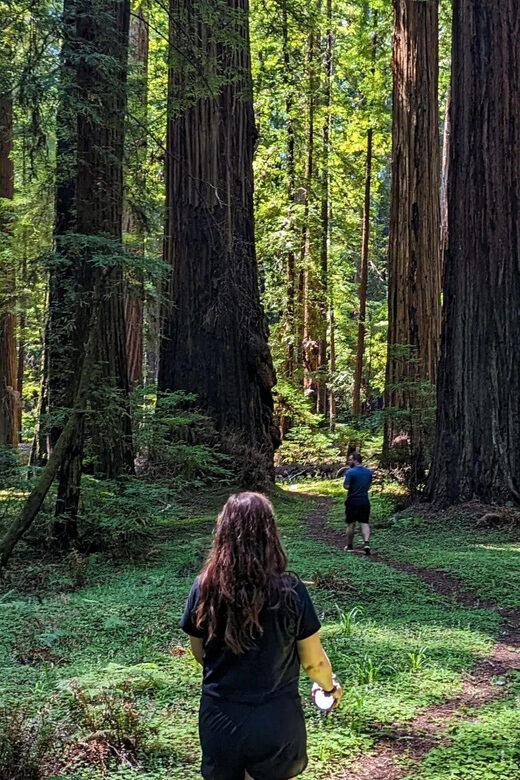 Prairie Creek State Park: Redwood Forest Hiking Tour - Why This Tour Offers Great Value