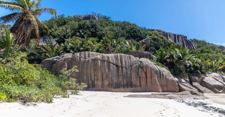 Praslin: Sister & Coco Island Full-Day Cruise and Creole BBQ - What’s Included and What to Consider