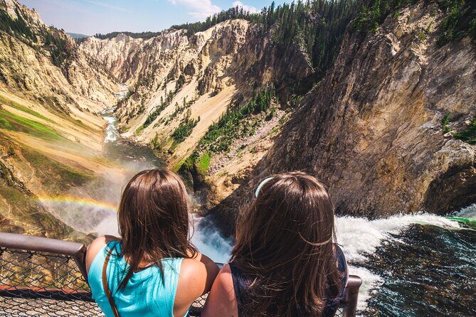 Predators of the Wild, Bear and Wolf Watching Adventure - Why This Tour Offers Good Value
