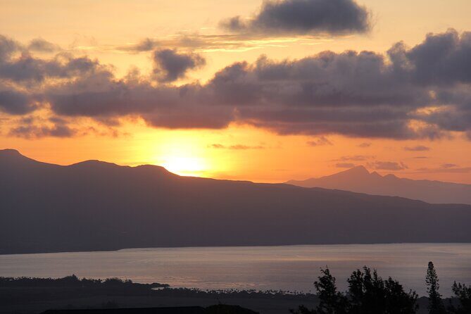 Predawn-Morning Haleakala Bike Tour 6,500 to Sea Level - The Value of This Experience
