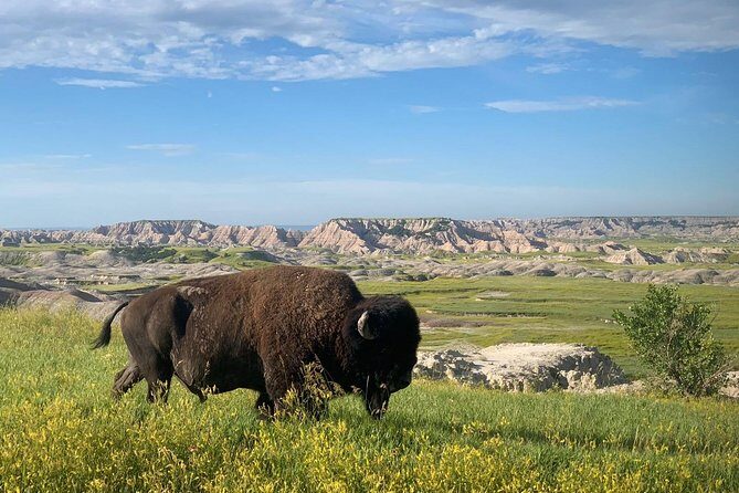 Premiere Private Badlands Day Tour - What’s Included and What to Consider