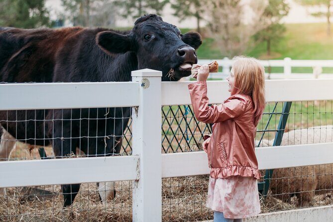 Premium Amish Country Tour including Amish Farm and House - Who Will Appreciate This Tour?