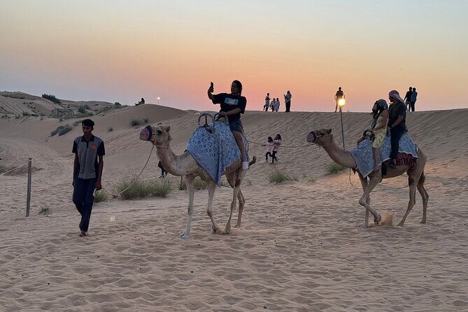 Premium Desert Safari Activities for Group and Family - Why This Tour Offers Good Value