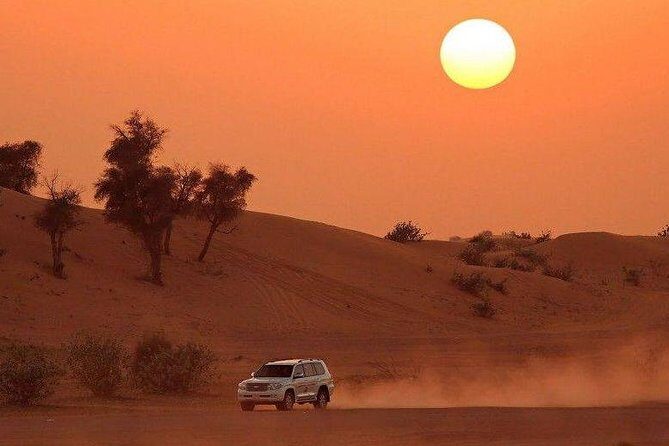 Premium Desert Safari, Barbeque, 3 Shows, Camel ride, Sand-board at Bedouin camp - What Travelers Say: Authentic Feedback