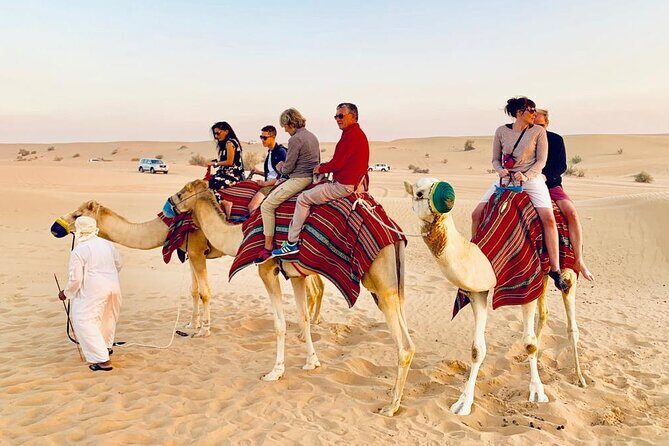 Premium Desert safari With Dune buggy camel ride BBQ dinner - Authentic Feedback From Reviewers