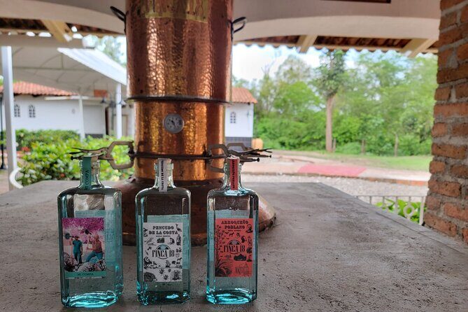 Premium Finca 18 Tequila Tour & Chocolate Pairing + Pickup Points - The Sum Up